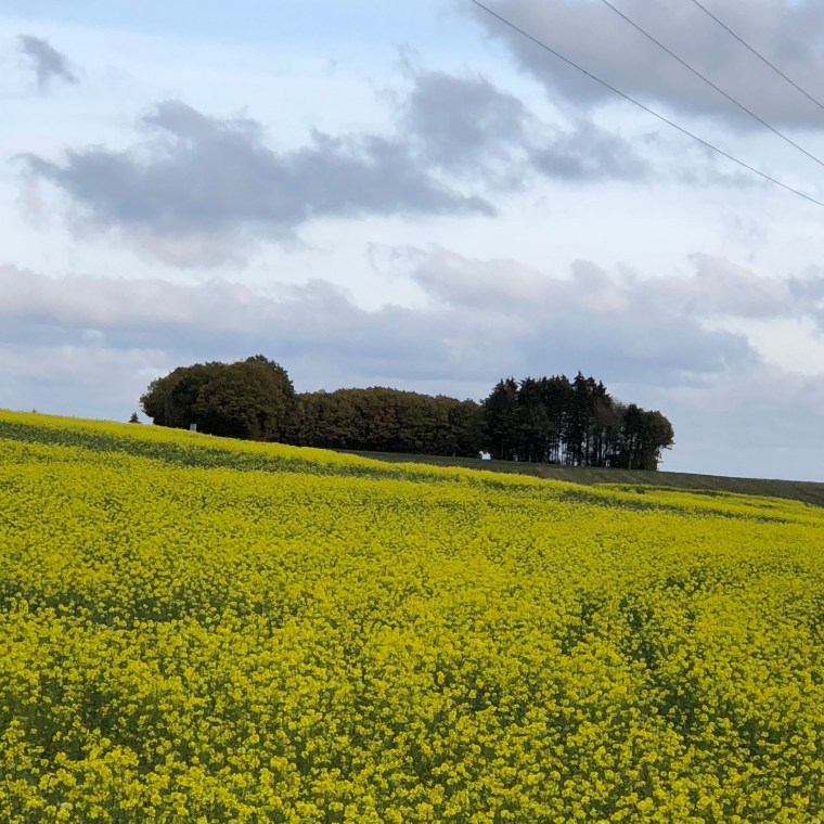 TwNRFOoYTS6fP2EYLOqYFw