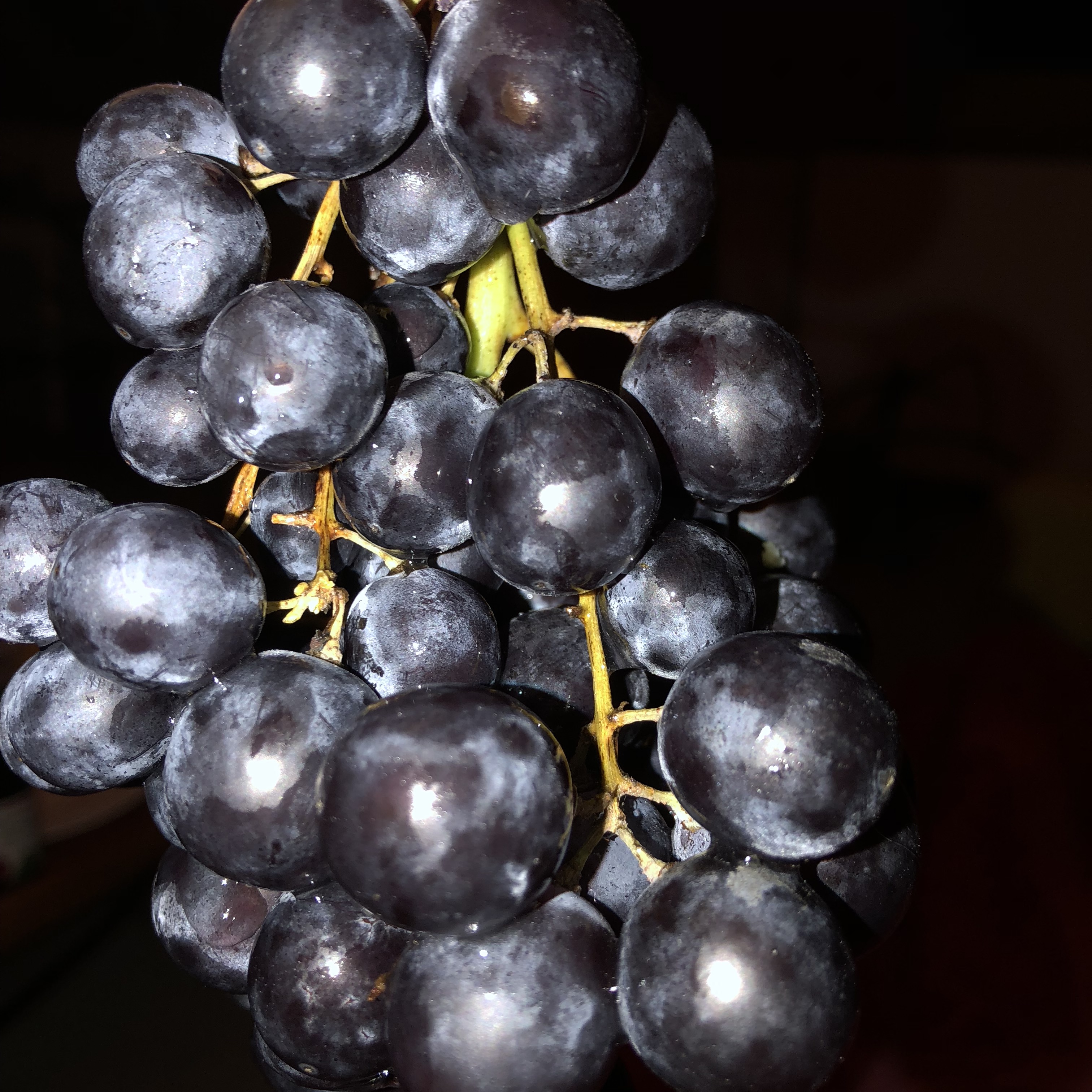 0wrzby99sue4ylgwhgl6xw