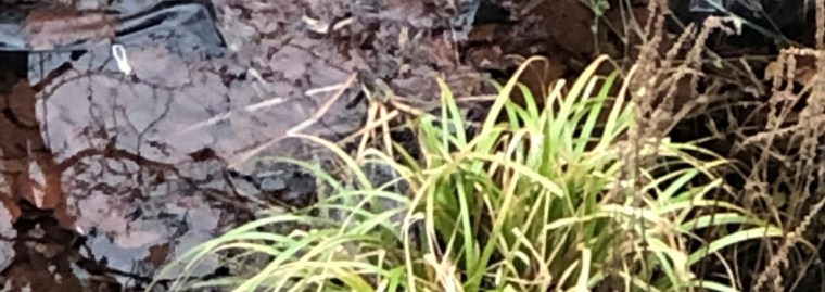 yv4oygnpqlscjydvm%sj9q