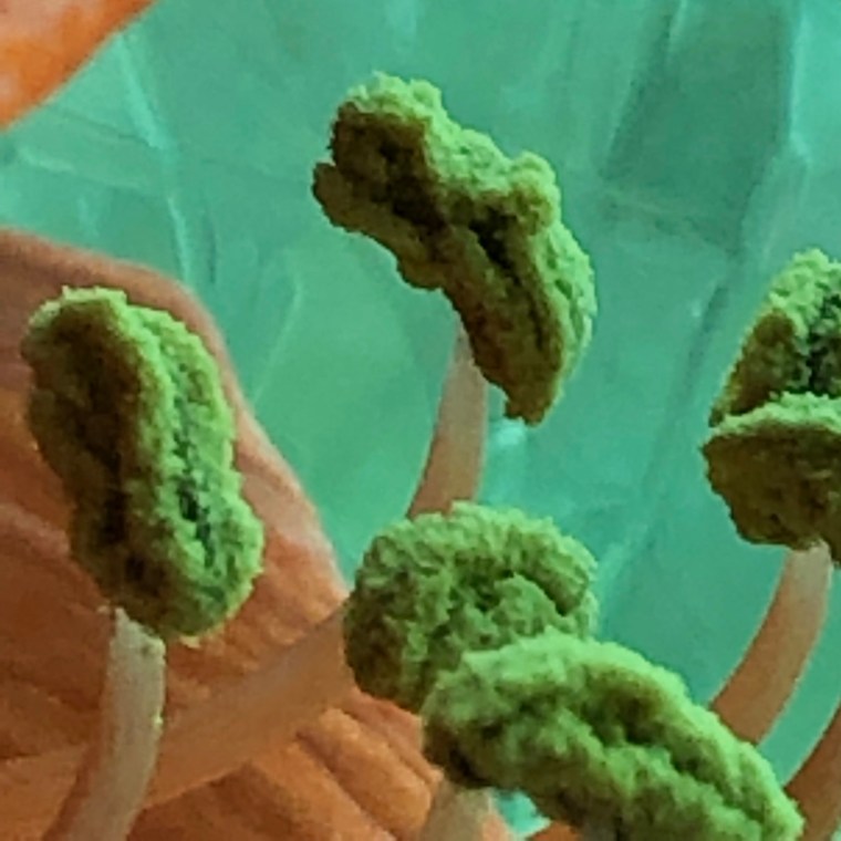 BguzrphUSgCs4ah7vkfmhw