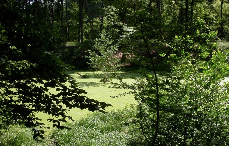 MINOLTA DIGITAL CAMERA