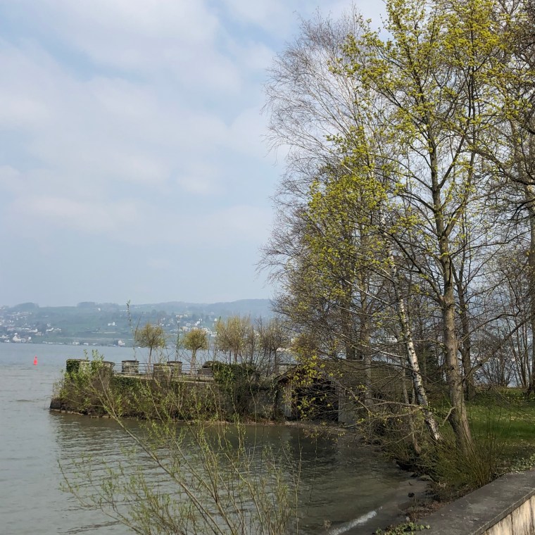 ANseLjHzSh20uXiKP49SAg