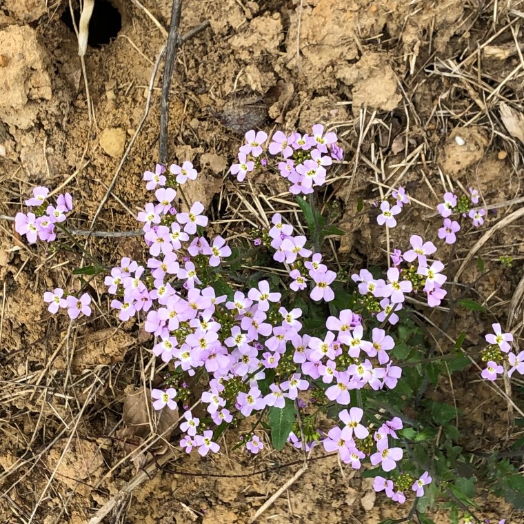 JXqxM%AGSpeV4uTRjhi8tw