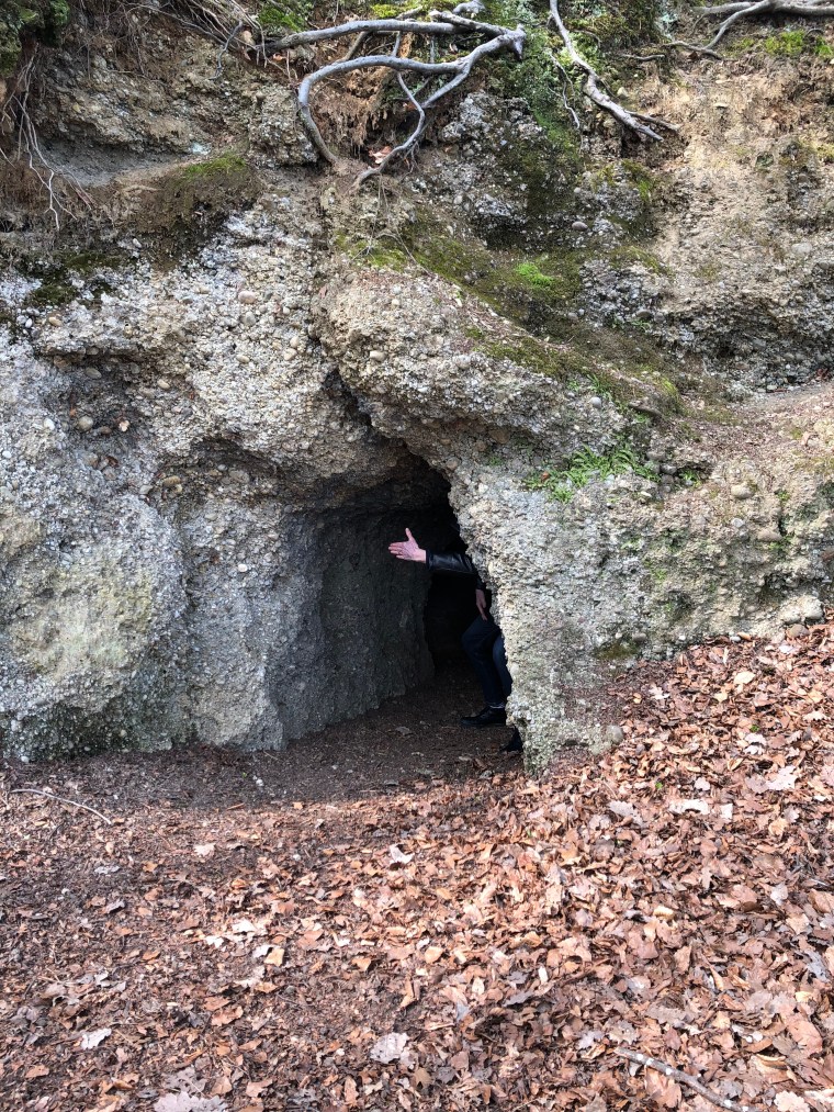 z0LxSLUsSHSvGKTasxtEow