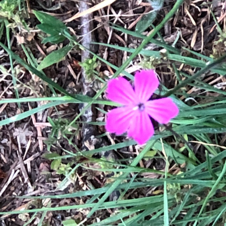 2ohAgaioSnyFsHEjUnXvQw