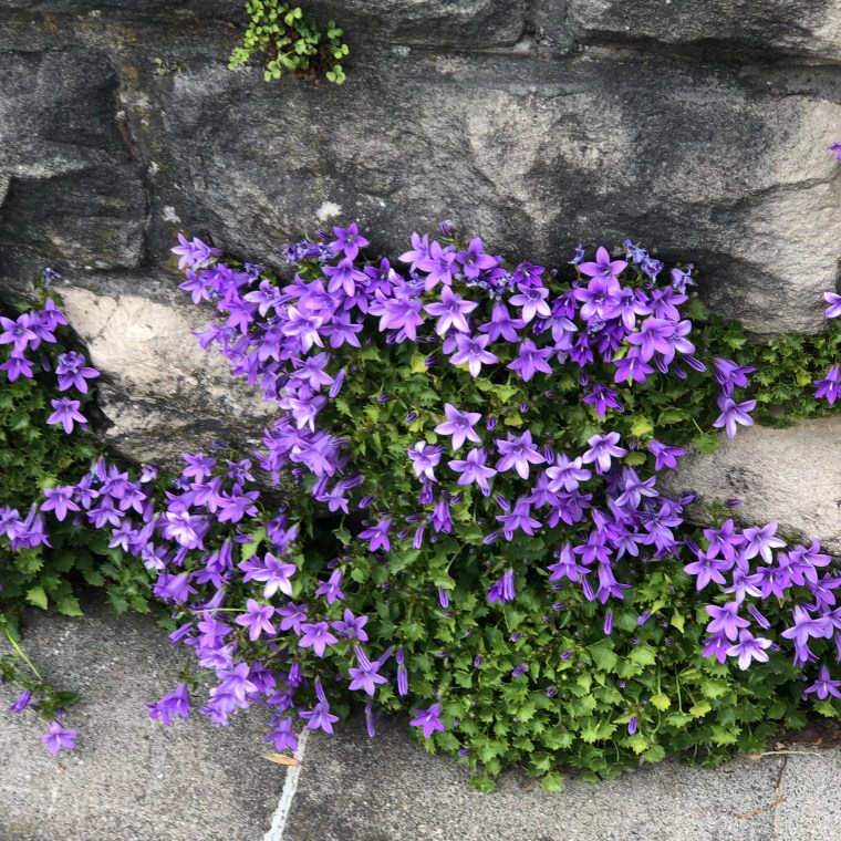 NKH+vC%2TBSwX7XithGdYQ