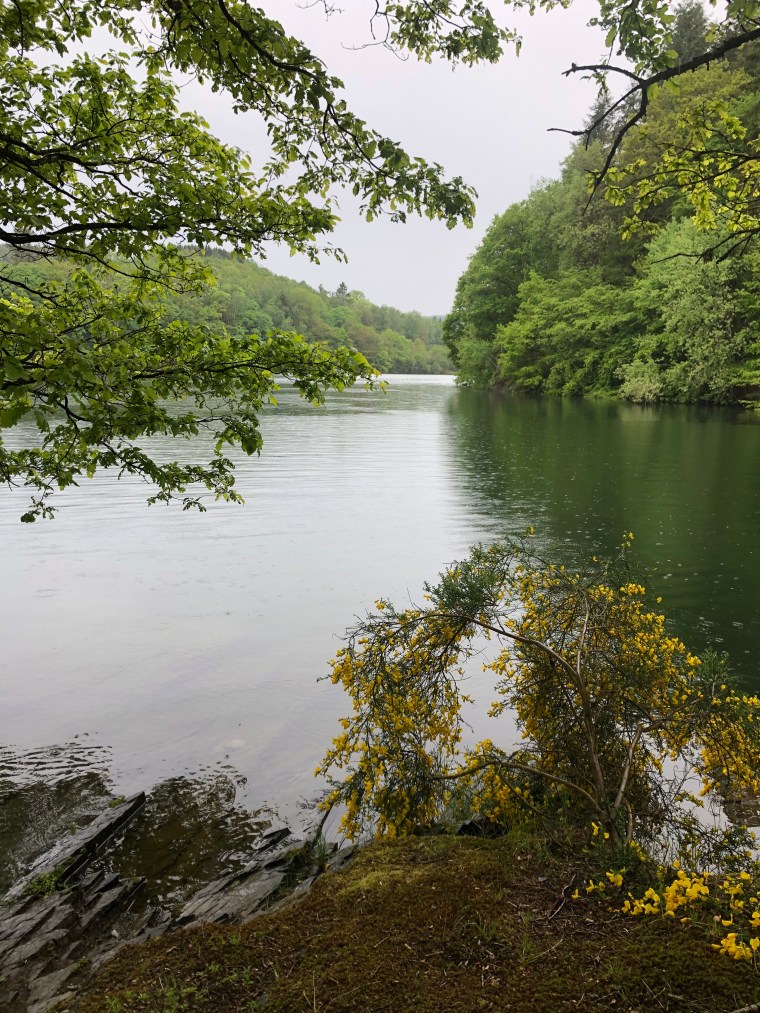 Og+Bvka8TdS4ISss8ed+Qg