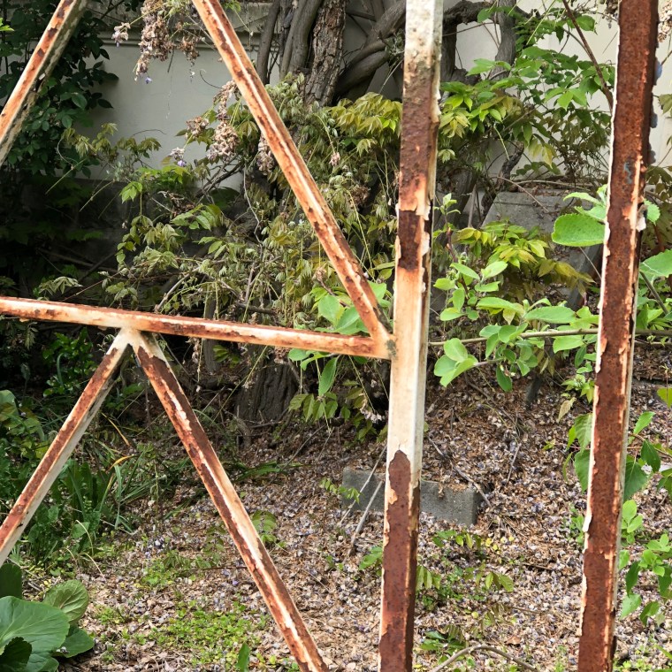 XHE0Y2iVQGaZAhWzi5WGgg