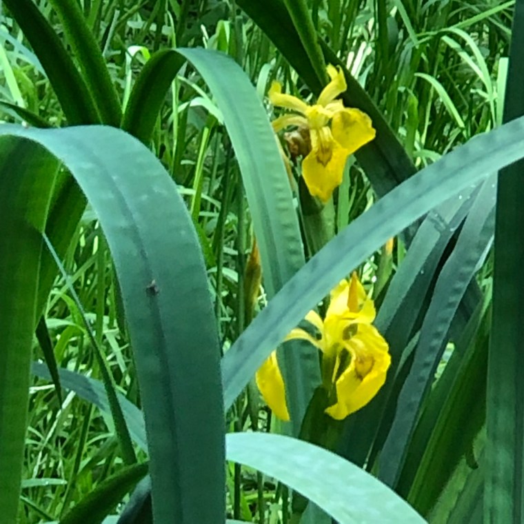 8VrVwDuTQ4GqIXSNPTS3aA