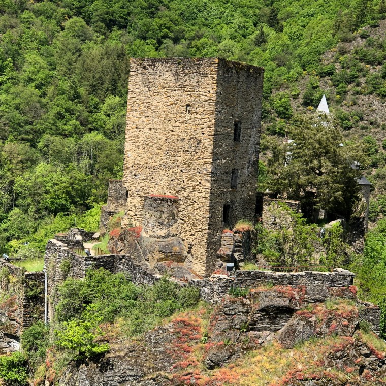 bMY9z1gJStayccZ6rCwHqw