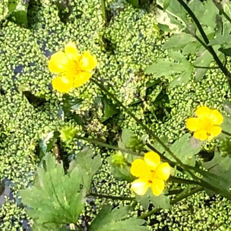 btkEmcklRTu3LYehuper7w