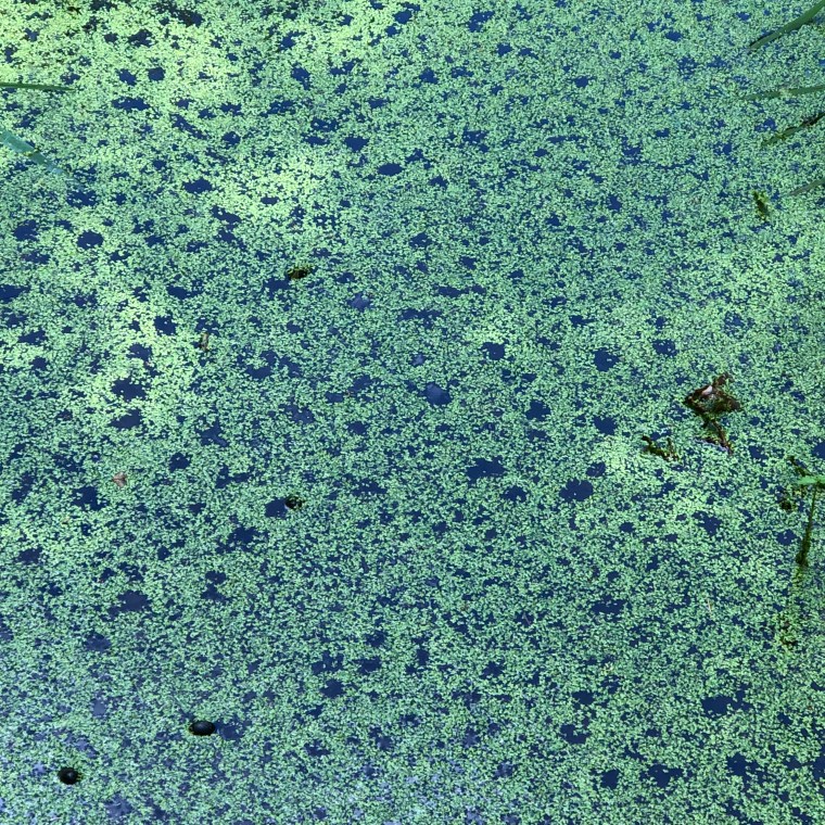 So+1GjUVROO3zx2gButhKg