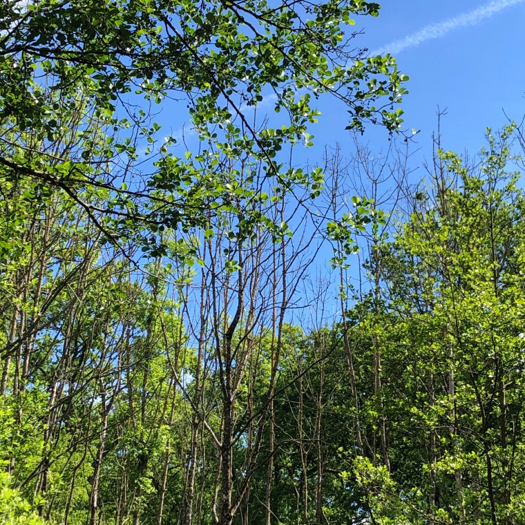 tCaq8Y36TLGISYRZ58uRNQ