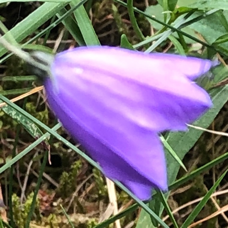 5ktGS50nTBewzuWl7cB6Fw