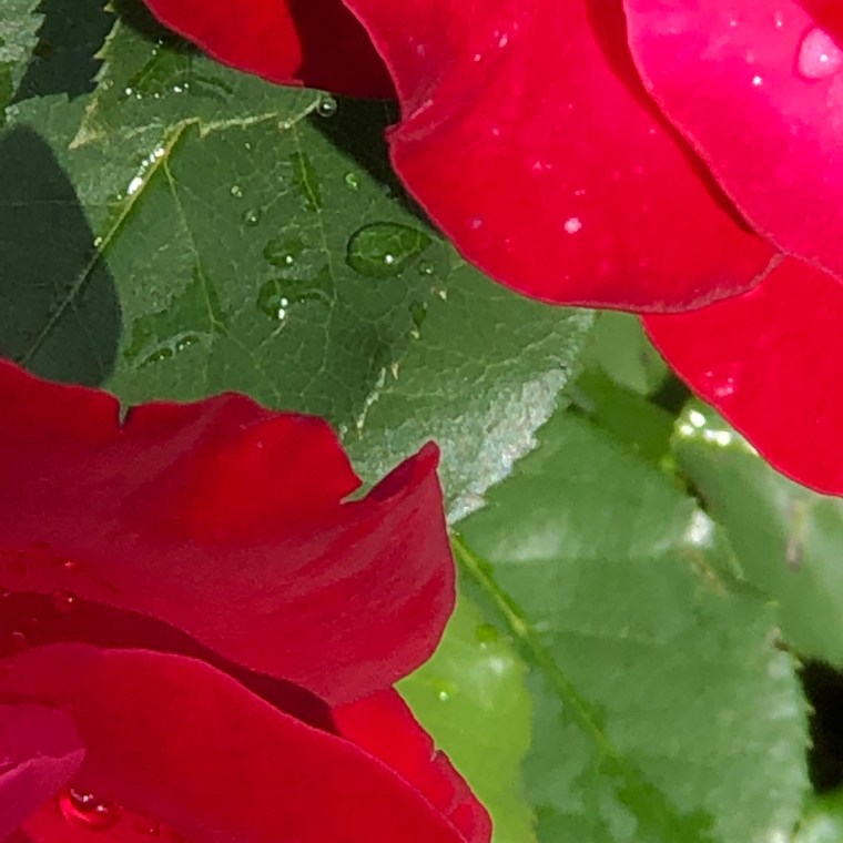 3JIJHwWjR+aBmOqWRdb7Sg