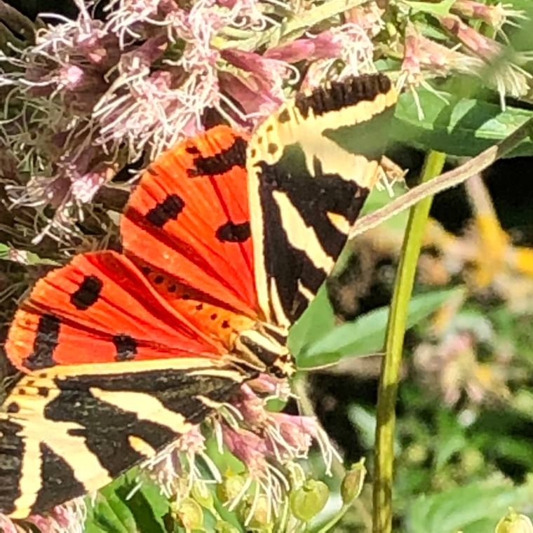 44Aj2rM2TLCGCS8fp%ChzQ