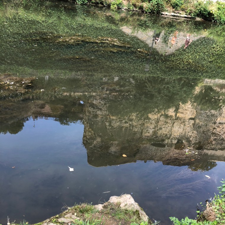 n938eCBvQ2qCU1t3slwvEA