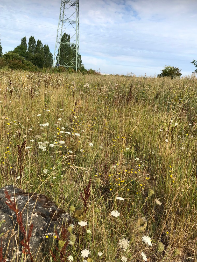 ULdk5pEOTFeMqyrdnO%rwg