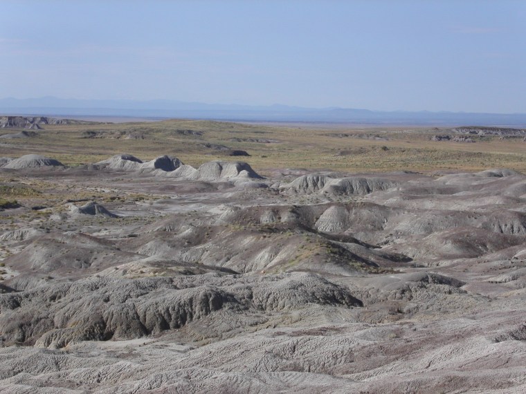 MINOLTA DIGITAL CAMERA