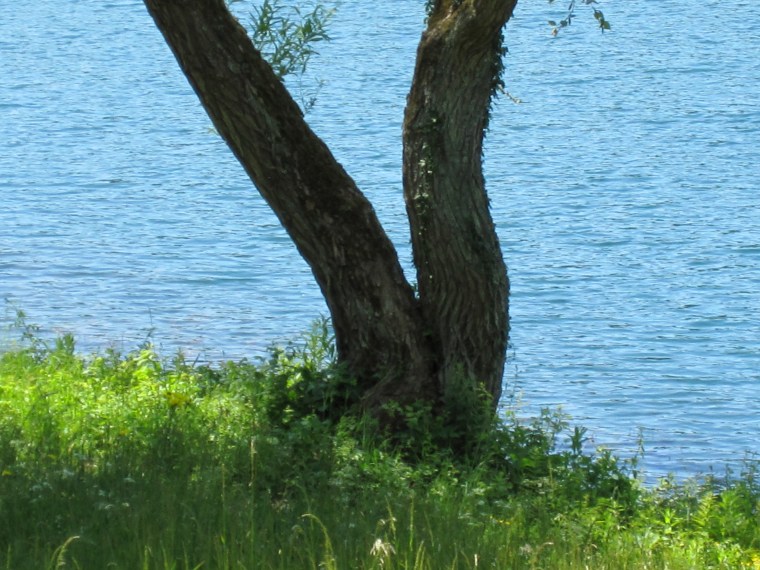 F6C1C985-2B19-4183-818D-D12E69654C70