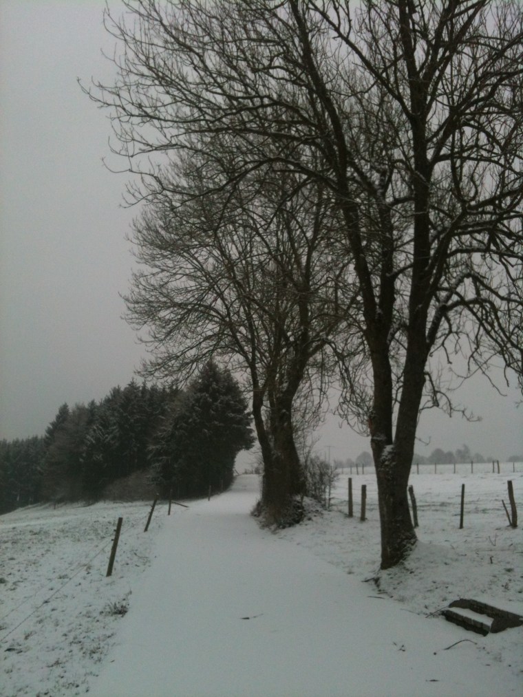 8A0C411C-DD42-44F8-B2ED-D0730D39525D