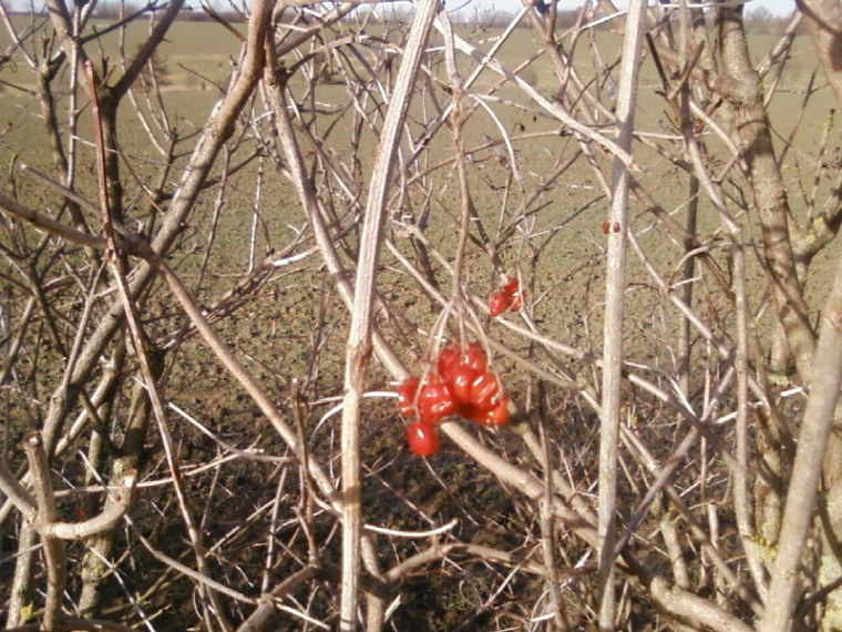 8A9D58D5-37CB-4E52-86A8-C91EB6F2282E