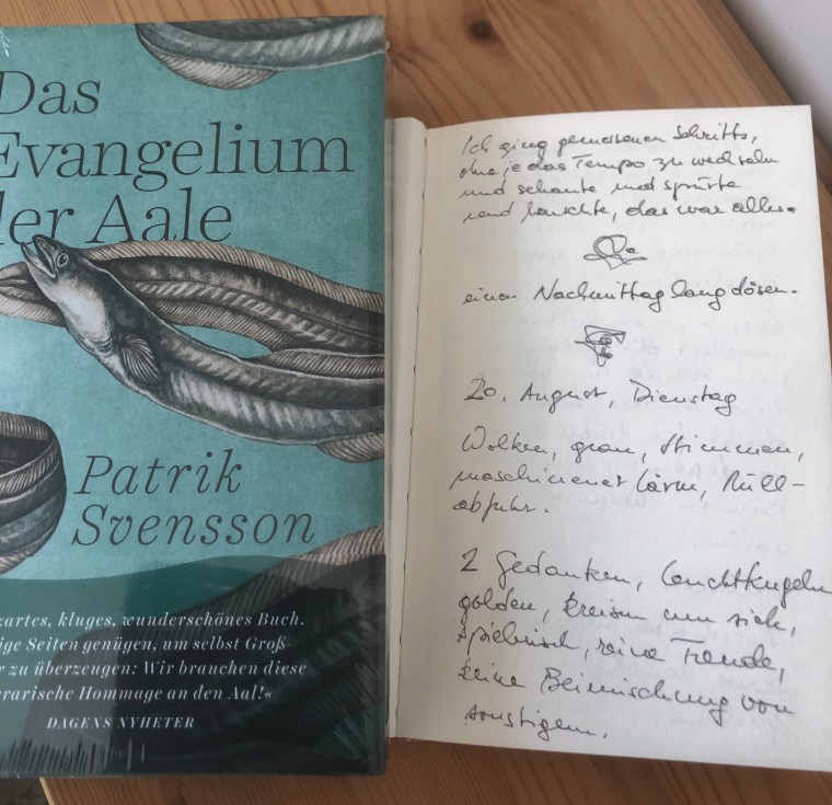 fc9d8177-434f-4314-97b6-801745529811-801-000000e528741b18_file